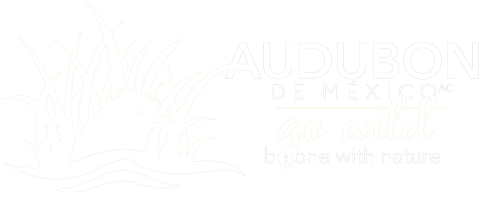 SOCIEDAD AUDUBON DE MEXICO